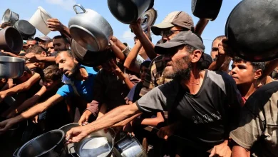 ‘Hamas’s fake campaign’: Israel rejects IPC’s Gaza famine declaration as a ‘fabricated report’