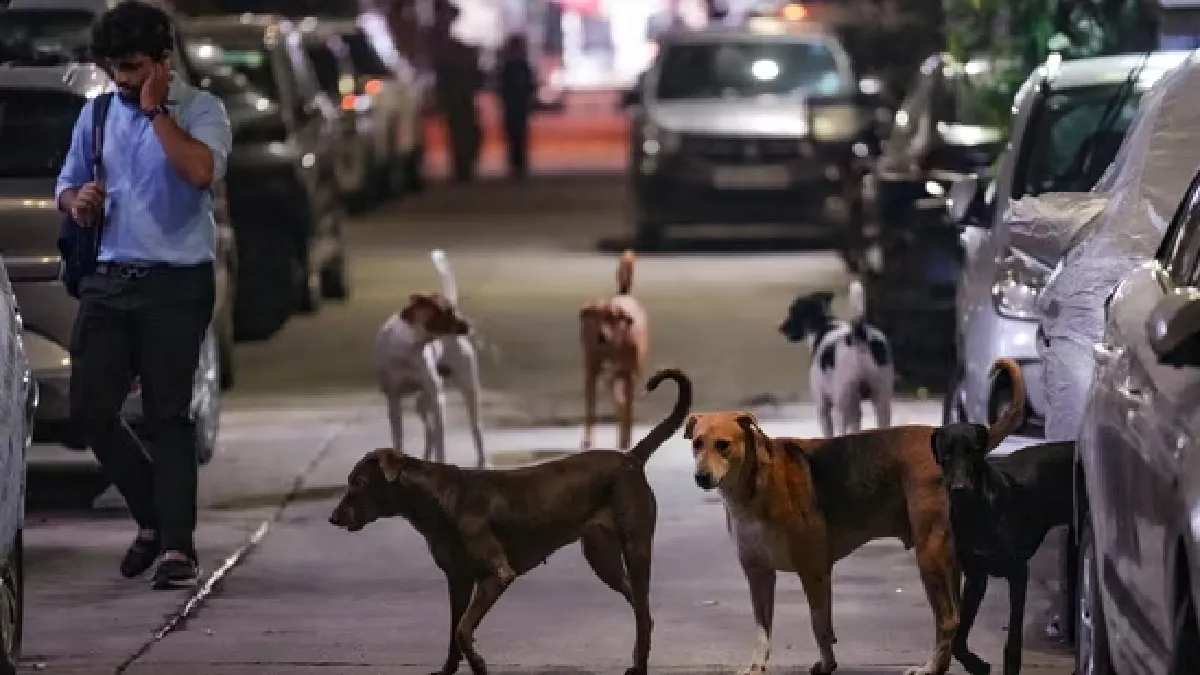 Supreme Court Shifts Delhi Stray Dogs Case to New Bench Amid Outcry – Hearing Tomorrow