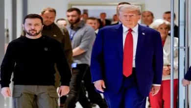 Trump Pushes for Ukraine Ceasefire, But EU Allies Draw Red Line on Territory Talks: Inside the Virtual Huddle with Zelensky
