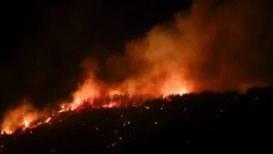 WATCH | Turkey Gallipoli Wildfire Forces Over 250 Evacuations as Winds Fan Flames Across Çanakkale Peninsula