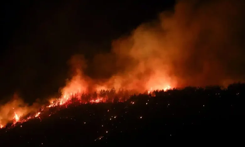 WATCH | Turkey Gallipoli Wildfire Forces Over 250 Evacuations as Winds Fan Flames Across Çanakkale Peninsula