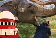 3 reasons Why The Supreme Court Clean Chit Reliance’s Vantara