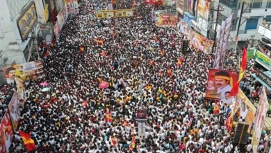 Actor-turned-politician Vijay's Tamilaga Vettri Kazhagam's legal wing has moved the Madras High Court seeking an independent investigation into the Karur stampede.
