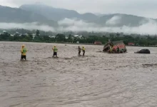 This year's monsoon has battered large parts of Jammu and Kashmir, Punjab, Uttarakhand and Himachal Pradesh, leaving behind a trail of devastation.