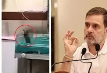 Congress leader Rahul Gandhi on Thursday launched a scathing attack on the Centre and the Madhya Pradesh government.