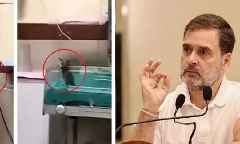 Congress leader Rahul Gandhi on Thursday launched a scathing attack on the Centre and the Madhya Pradesh government.