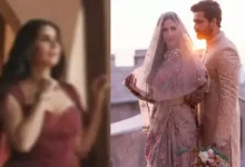 Baby Bump Snapshot Sparks Fresh Frenzy: Is Katrina Kaif Expecting?