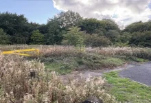 A Sikh woman in her 20s was raped by two men in broad daylight in a park in Oldbury, UK, and told to “go back to your country” during the assault.