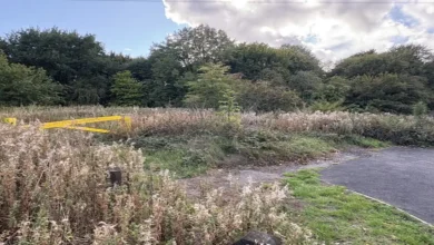 A Sikh woman in her 20s was raped by two men in broad daylight in a park in Oldbury, UK, and told to “go back to your country” during the assault.