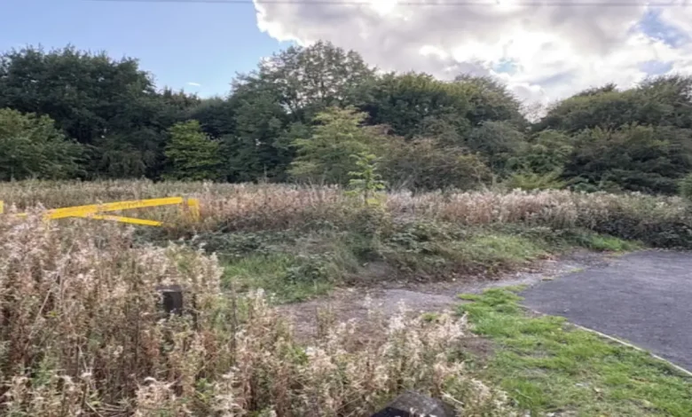 A Sikh woman in her 20s was raped by two men in broad daylight in a park in Oldbury, UK, and told to “go back to your country” during the assault.