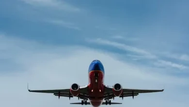 A flight full of passengers was left circling the skies over Corsica for nearly an hour after an air traffic controller at Ajaccio's Napoleon Bonaparte Airport fell asleep during the night shift.