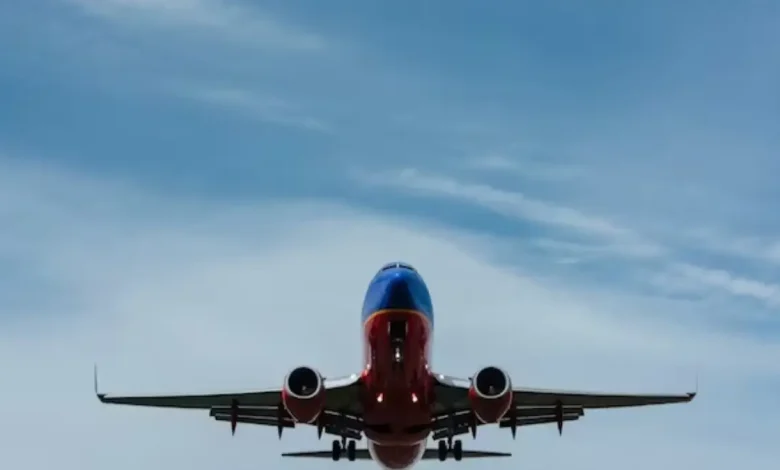 A flight full of passengers was left circling the skies over Corsica for nearly an hour after an air traffic controller at Ajaccio's Napoleon Bonaparte Airport fell asleep during the night shift.