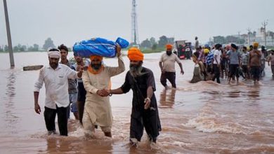 Punjab Flood Crisis: Death Toll Climbs to 46, 3 Still Missing