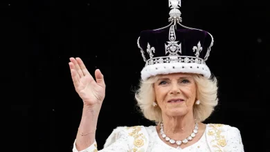 How Queen Camilla saved herself from a sexual assault: ‘Whacked him in the n**s with my heel' | Teen train ordeal recounted in new royal book