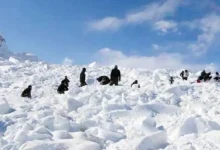 Three Army personnel, including two Agniveers, lost their lives on Tuesday in a major avalanche at the Siachen base camp in Ladakh.