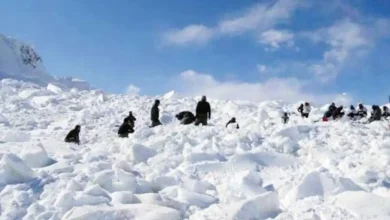 Three Army personnel, including two Agniveers, lost their lives on Tuesday in a major avalanche at the Siachen base camp in Ladakh.