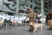 After Delhi Schools, Igi Airport Receives Bomb Threat Email; Police Launch Investigation