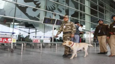After Delhi Schools, Igi Airport Receives Bomb Threat Email; Police Launch Investigation