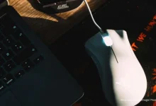 Bengaluru : Manager Threw Mouse at Her, Igniting Workplace Toxicity Debate