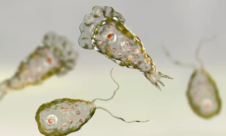 Deadly Surge: Kerala's Deadly Dance with Brain-Eating Amoeba Claims 19 Lives