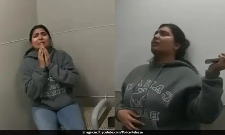 Indian Tourist Faces Felony Charges After Shoplifting Incident at US Target Store