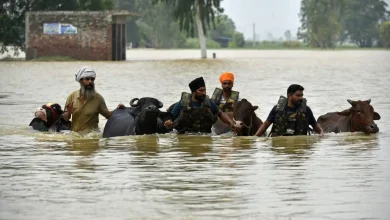 Punjab Floods 37 Dead, Over 3.5 Lakh People Affected in Worst Disaster Since 1988