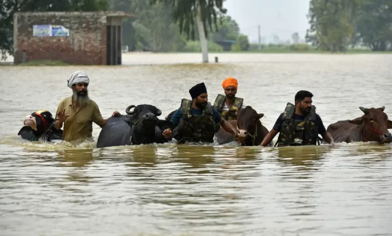 Punjab Floods 37 Dead, Over 3.5 Lakh People Affected in Worst Disaster Since 1988