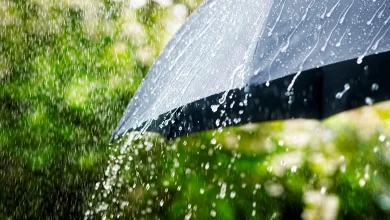 Mumbai Braces for Heavy Rainfall as Monsoon Revives