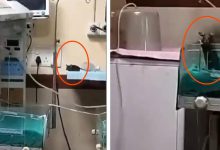 Newborn’s Death After Rat Bites in Indore Hospital Sparks Outrage and Suspensions