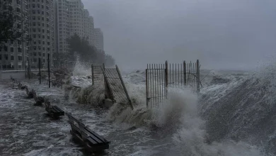 Hong Kong Bounces Back: Life Resumes After Fury of Record-Breaking Typhoon Ragasa