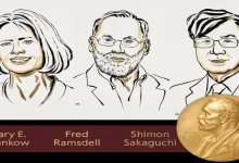 2025 Nobel Prize in Medicine Awarded to Trio Who Discovered How the Body Tames Its Own Immune System