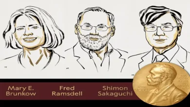 2025 Nobel Prize in Medicine Awarded to Trio Who Discovered How the Body Tames Its Own Immune System