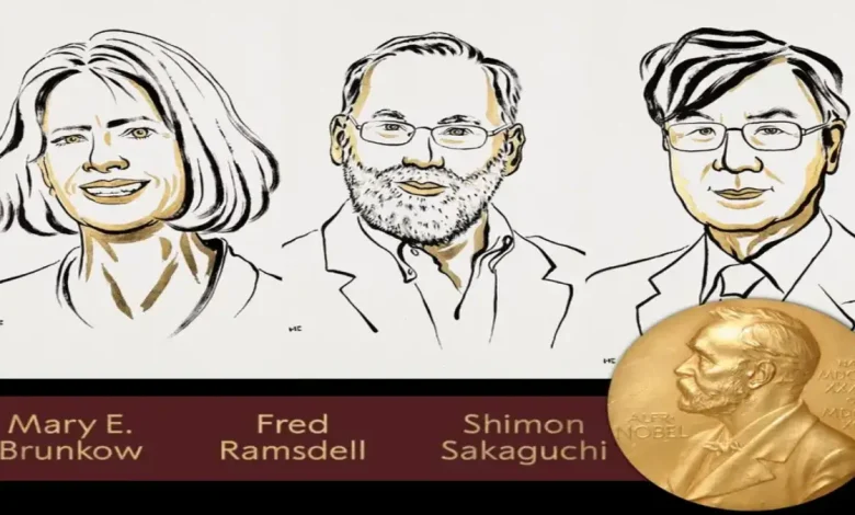 2025 Nobel Prize in Medicine Awarded to Trio Who Discovered How the Body Tames Its Own Immune System