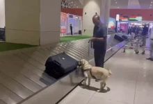 A new luggage-checking system has been introduced for passengers landing at Ahmedabad airport.