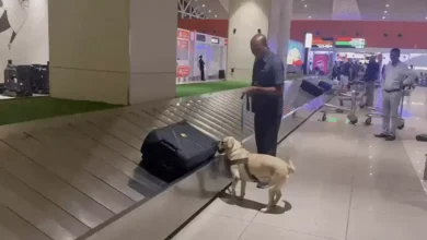 A new luggage-checking system has been introduced for passengers landing at Ahmedabad airport.