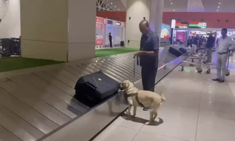 A new luggage-checking system has been introduced for passengers landing at Ahmedabad airport.
