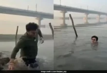 BJP Lawmaker's Plunge: Slips into Yamuna Mid-Reel Promoting 'Pristine' Waters