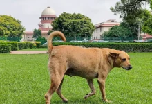 Supreme Court on Monday summoned the Chief Secretaries of all States and UTs, except West Bengal and Telangana.