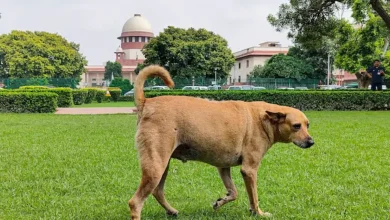 Supreme Court on Monday summoned the Chief Secretaries of all States and UTs, except West Bengal and Telangana.