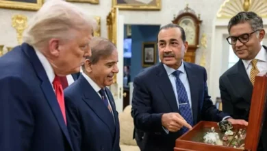 Pakistani Army chief Asim Munir has come under severe criticism at home for presenting rare earth minerals to US President Donald Trump, with a senator questioning the field marshal's authority and mocking its optics.