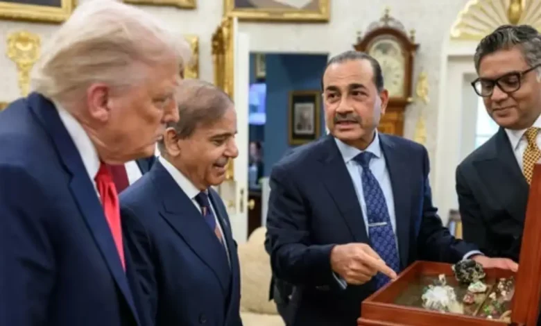 Pakistani Army chief Asim Munir has come under severe criticism at home for presenting rare earth minerals to US President Donald Trump, with a senator questioning the field marshal's authority and mocking its optics.