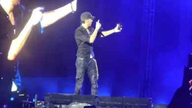 Fan throws phone at Enrique Iglesias during Mumbai concert, singer clicks selfie before throwing it back