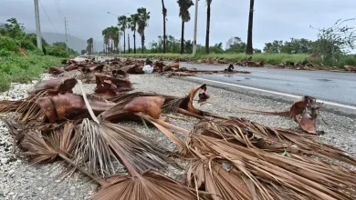 Devastating Hurricane Melissa: Record Winds Claim Lives, Flood Vast Swaths of Jamaica