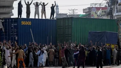 Pakistan Cracks Down: Internet Blackout and Roadblocks Stifle TLP's Pro-Palestine Rally