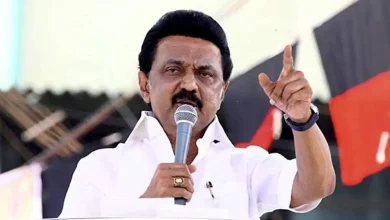 Karur stampede aftermath: Won't permit rallies on highways till SOPs formed, Tamil Nadu tells court.