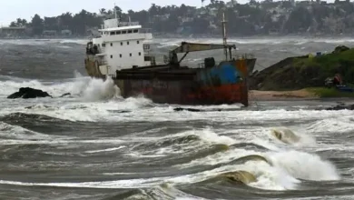 Cyclone Montha: Deadly Strike Claims One Life, Forces Mass Evacuations