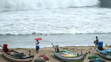 Cyclone Montha: Andhra Pradesh Faces Midnight Onslaught as Neighbors Gear Up for Deluge