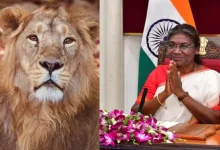 Gir National Park To Open Early for President Murmu’s Two-Day Visit on Oct 10–11