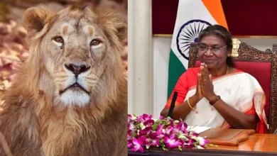 Gir National Park To Open Early for President Murmu’s Two-Day Visit on Oct 10–11