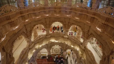 Golden Dome, Artistic Pillars — Stunning New Images of Ram Mandir's First Floor Glimpse